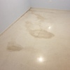 Pulir Suelo Vivienda (Completa)