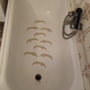 Esmaltar Bañera