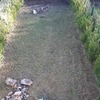 Desbrozar Jardín
