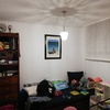 Pintar Interior De Vivienda