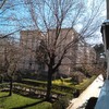 Talar árboles