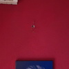Instalar Iluminación LED