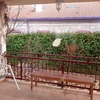 Cortinas Cristal