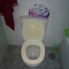 Instalar o Cambiar Sanitarios