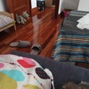 Poner Parquet o Tarima Vivienda (Completa)