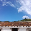 Pequeña Reforma Tejado Casa (Unifamiliar)