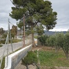 Talar árboles