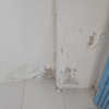 Pintar Interior De Vivienda