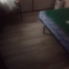 Poner Parquet o Tarima Vivienda (Parcial)