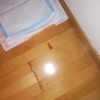 Lijar (Acuchillar) y Barnizar Parquet (Parcial)