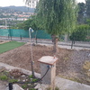 Cesped Artificial