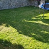 Mantener Jardín