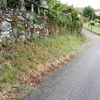Construir Muro