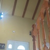 Pintar Interior De Vivienda