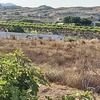 Desbrozar Jardín