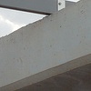 Fumigación o Desinsectación