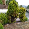 Otros Trabajos De Jardinería