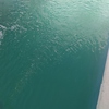Limpieza puntual de piscina