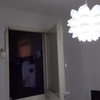 Pintar Interior De Vivienda