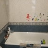 Cambiar Bañera Por Ducha