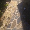 Pulir Suelo Vivienda (Parcial)