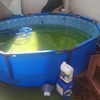 Limpieza puntual de piscina