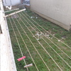 Asfaltar