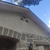 Fumigación o Desinsectación