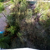 Desbrozar Jardín