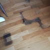 Otros Trabajos De Parquet