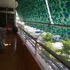 Instalar Toldo Vivienda