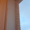 Fumigación o Desinsectación