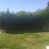 Otros Trabajos De Jardinería