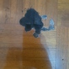 Otros Trabajos De Parquet