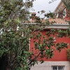 Deshollinar Chimenea