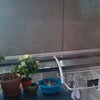 Reparar Toldo