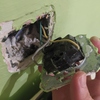 Otros Trabajos De Electricidad