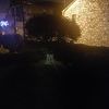 Otros Trabajos De Jardinería