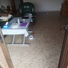 Pulir Suelo Vivienda (Parcial)