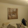 Insonorizar Vivienda