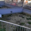 Diseñar Jardín