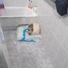 Cambiar Bañera Por Ducha