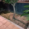 Solar jardín