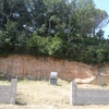 Limpiar parcela de 800 m2 solo hierva, no arboles