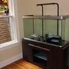 Lacar Mueble