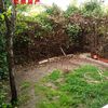 Desbrozar Jardín