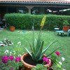 Poner cortinas de cristal