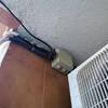 Revisar estado instalación eléctrica viladecans