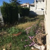 Desbrozar Jardín