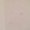 Presupuesto pintura piso 55m2